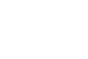 Electric Vehicle Approved logo