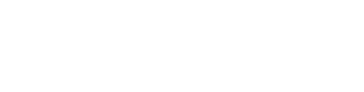 Renault Retail Group