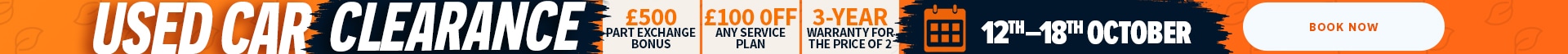 Used Car Clearance Skinny Banner