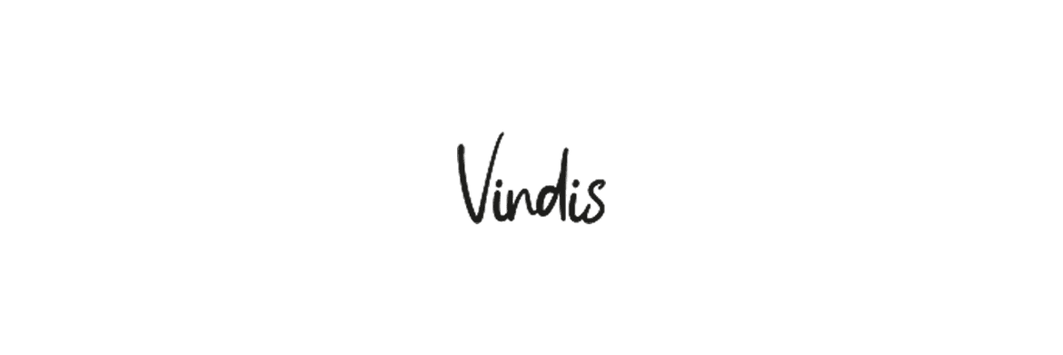 Explore a Career with Vindis Group