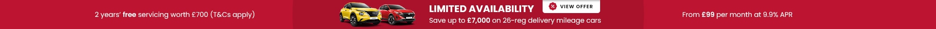 Skinny Banner
